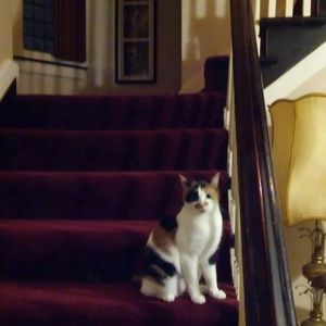 Meet your Posher, Vickie